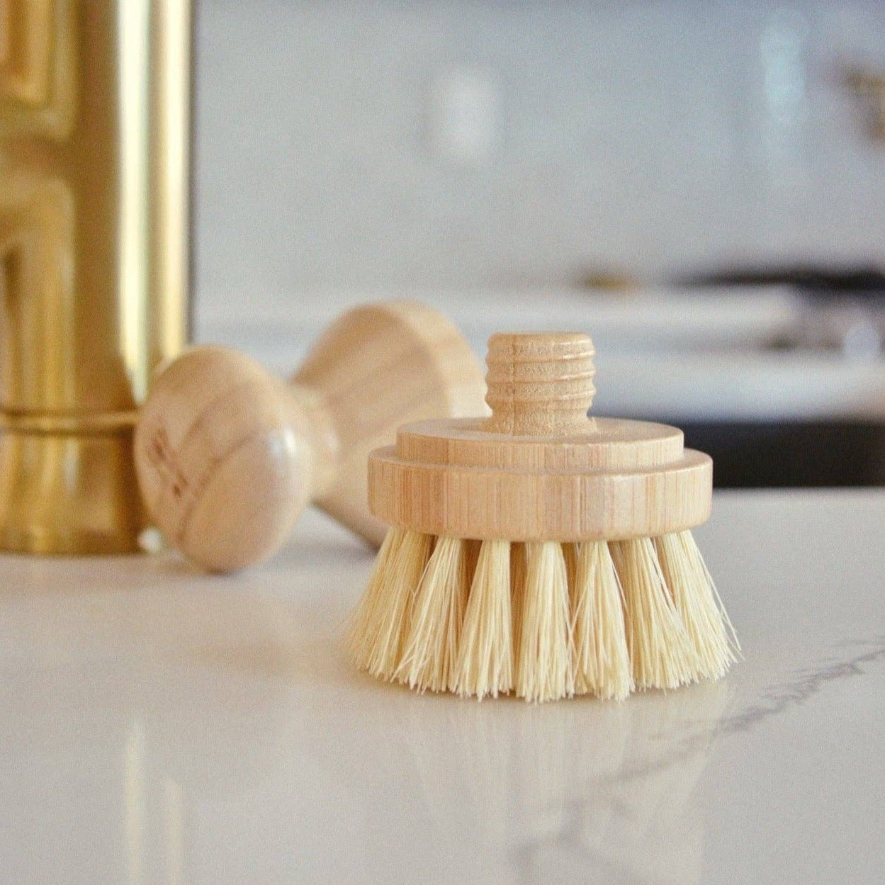 Modular Brush Refill Heads ONLY: Multipurpose Hand Brush Refill Head