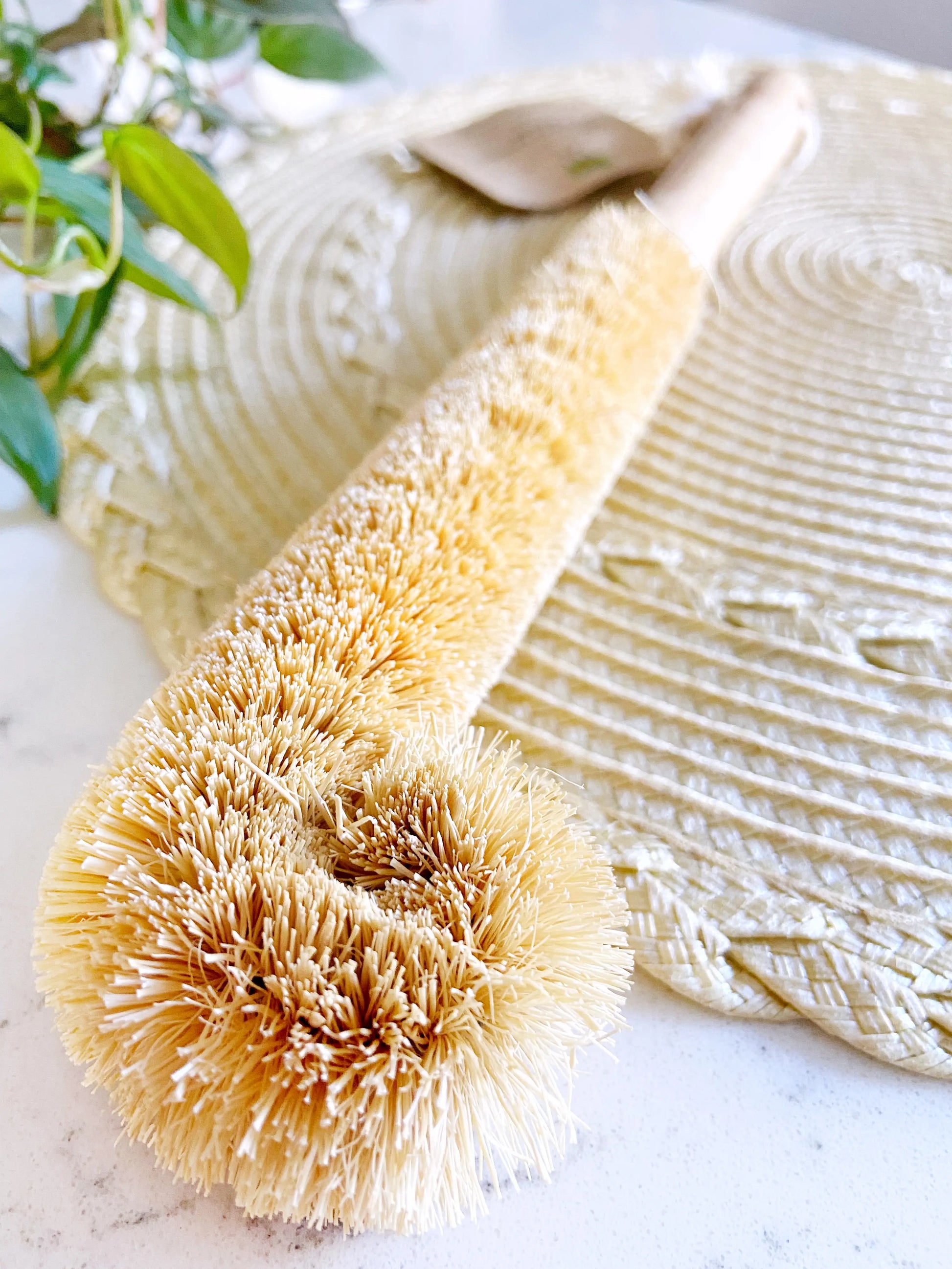 bottle cleaning brush - Glass cleaning. Made from coconuts, wood, and has a cotton loop to hang. Sustainable